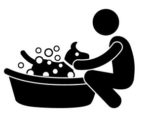 Dobermann Baden