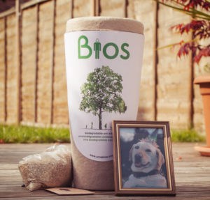 Aus dem Dobermann wird ein Baum