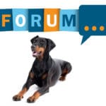 Dobermann Forum - Fragen und Antworten zum Dobermann