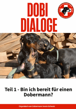 DobiDialoge – Wissen, Austausch zum Thema: Bin ich breit für einen Dobermann?