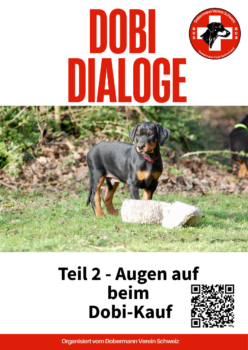 DobiDialoge Teil 2: Augen auf beim Dobi Kauf