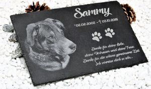 Gedenktafel für Deinen Dobermann Dobermann Gedenktafel